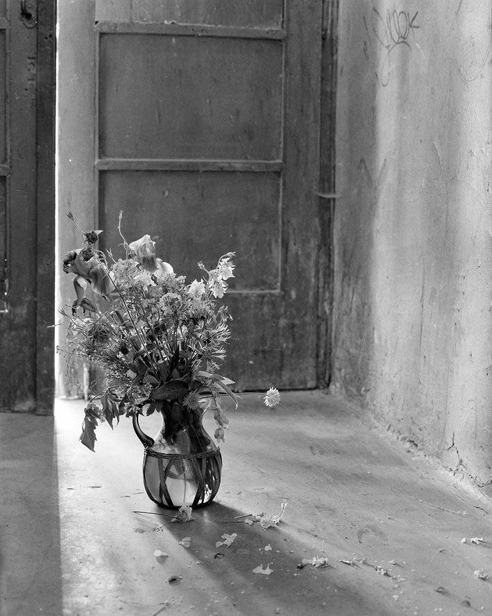 , Юрий Наумович