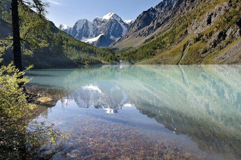 Шавлинское фото превью