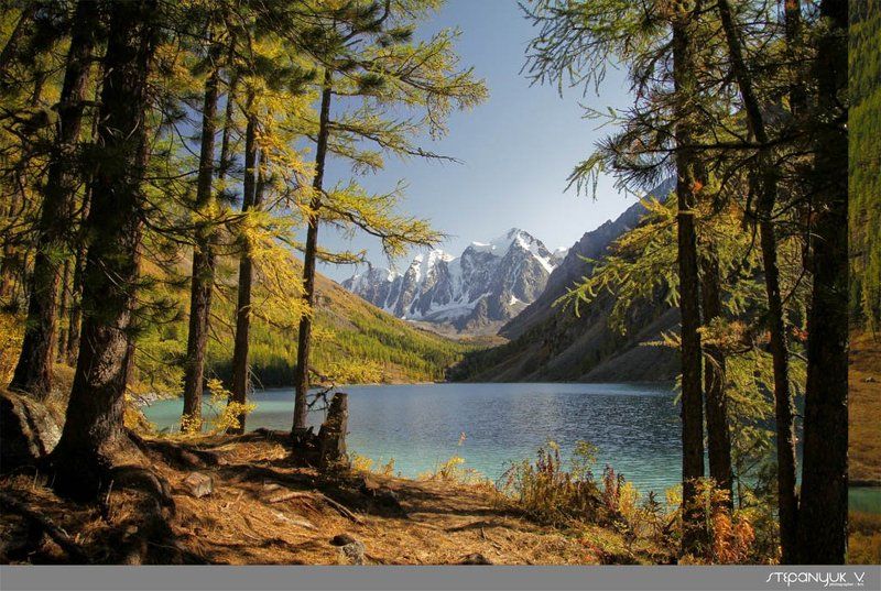 алтай, шавла, озеро, река, ледник, отражение Алтай, река Шавла, Шавлинское озеро фото превью