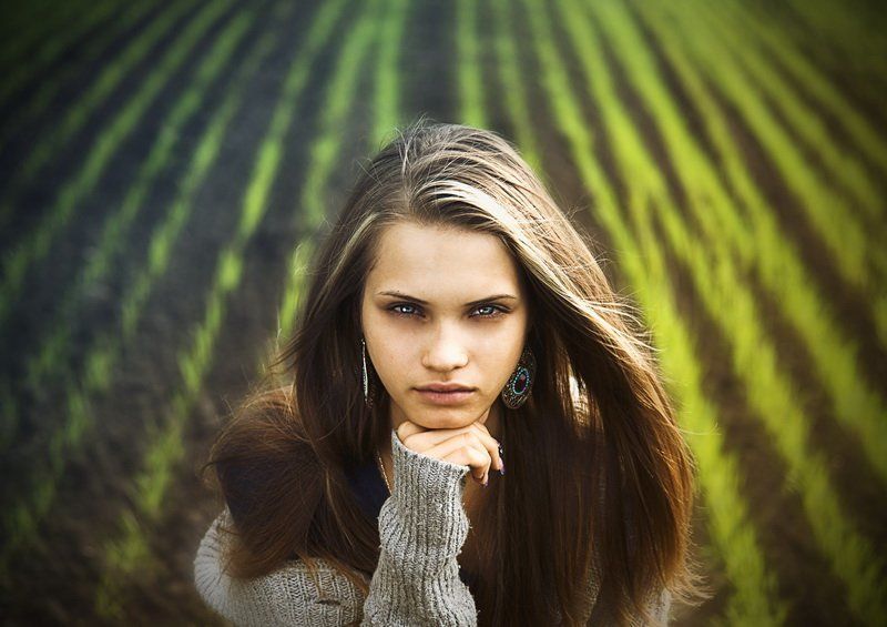 Stripes фото превью