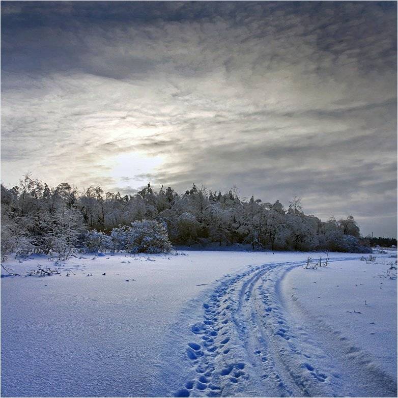 зима, вечер, Тарасов Алексей