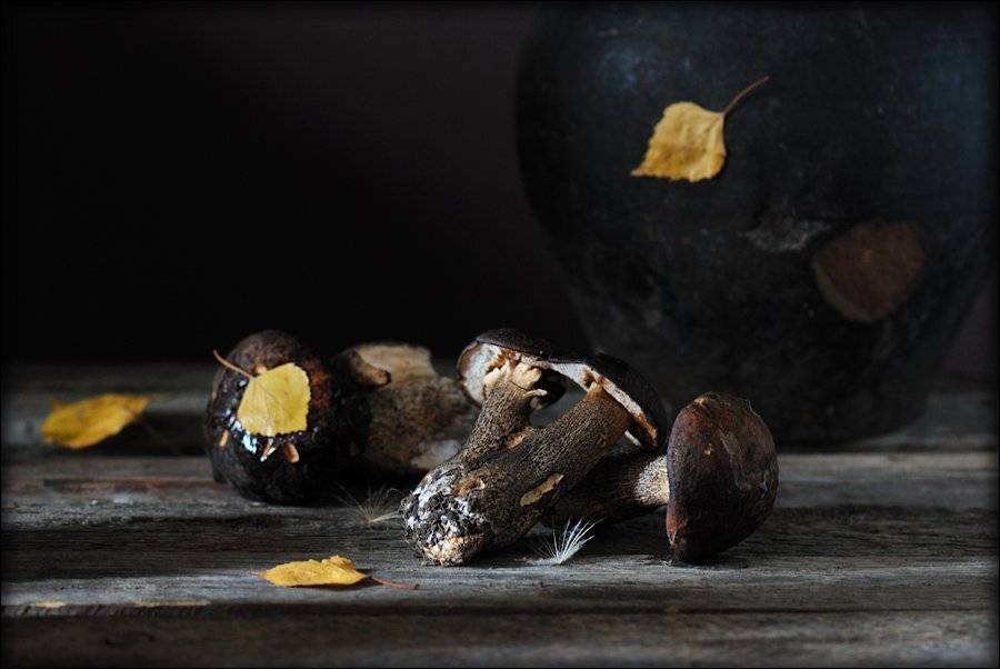 натюрморт, подберёзовики, Елена Соловьёва