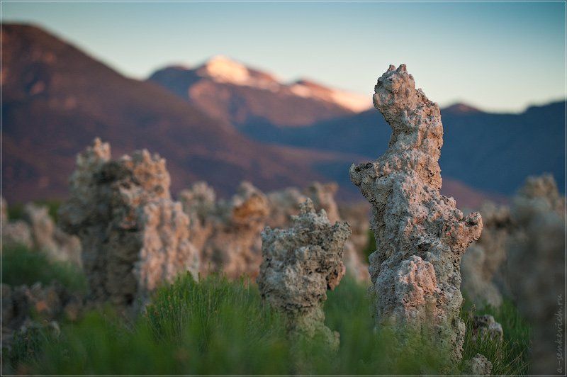 mono, lake Портрет Туфы на восходе :) фото превью