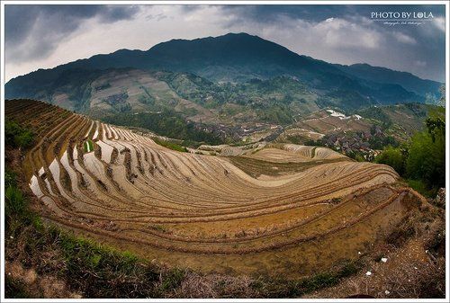 Рисовые террасы Гуйлинь