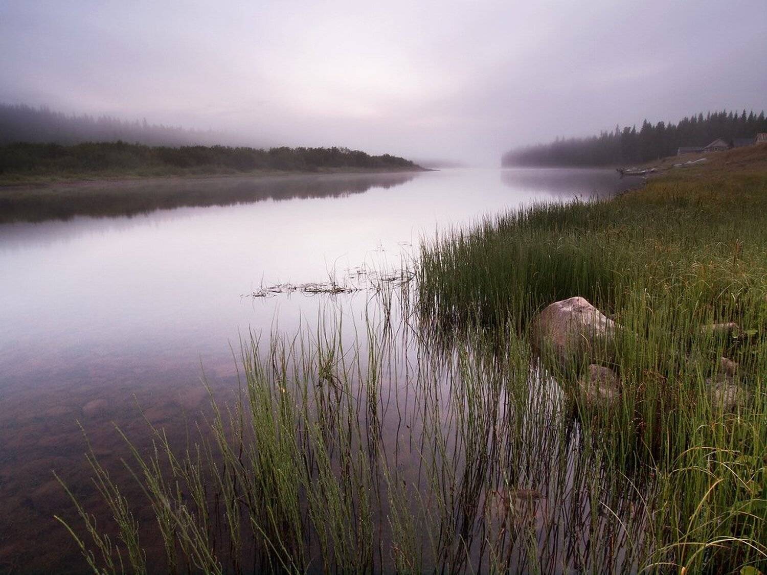 , Максим Евдокимов