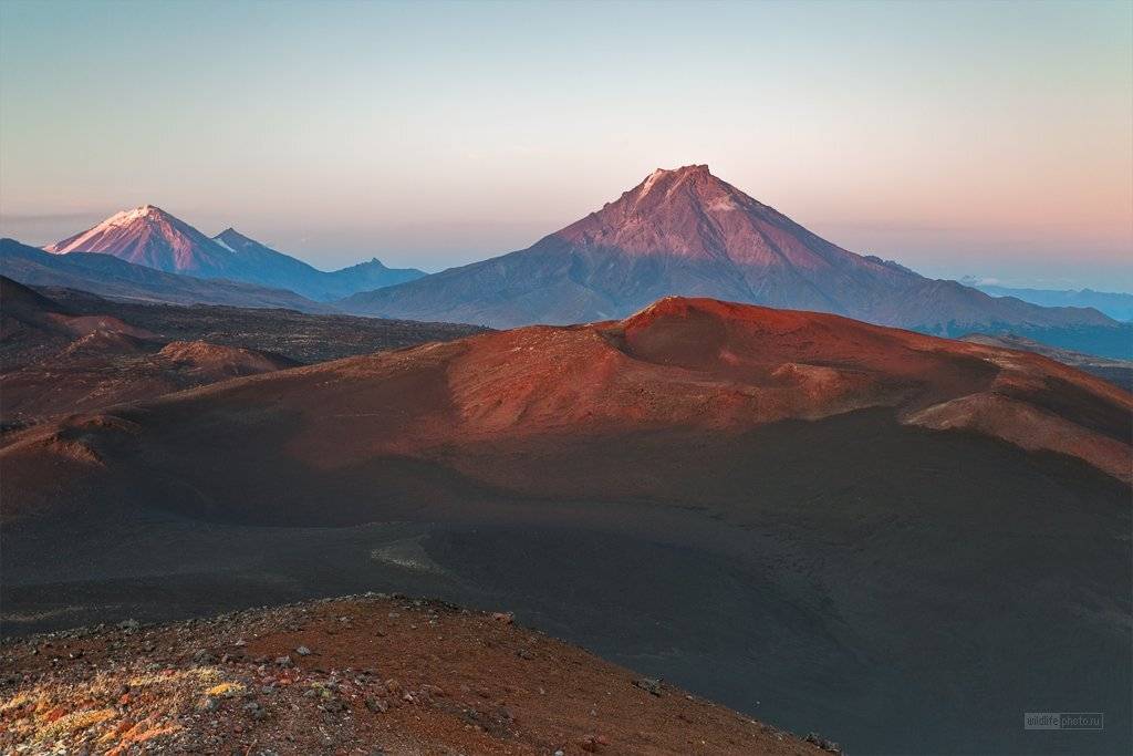 камчатка, большая, удина, Сергей Краснощёков