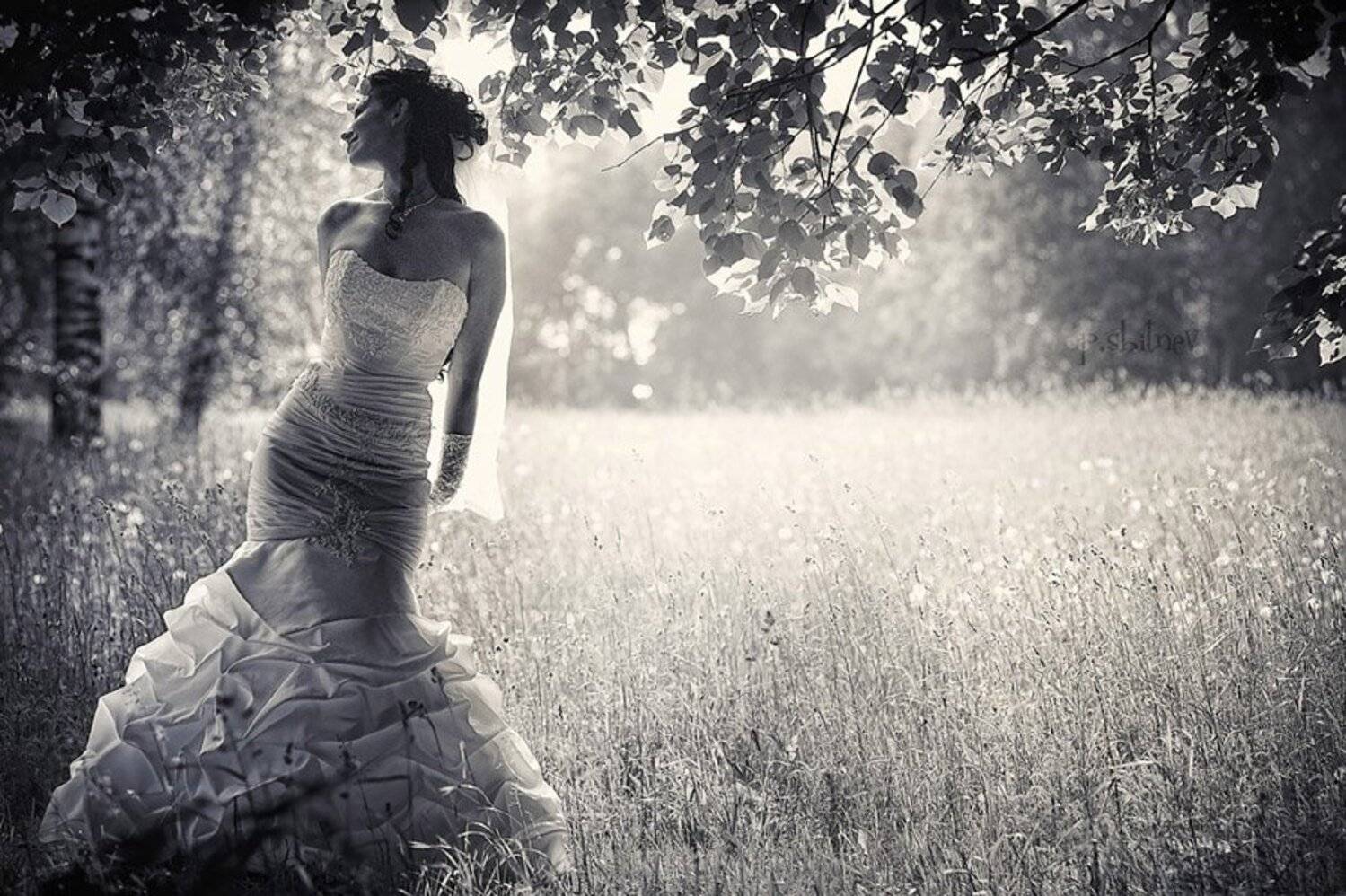 неувяды, Павел Сбитнев