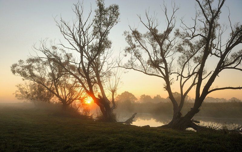 Встреча... фото превью