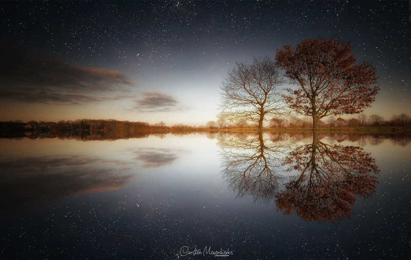 Two Trees фото превью