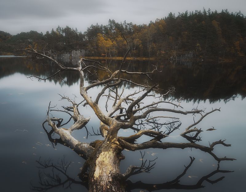 Raunesvatnet фото превью
