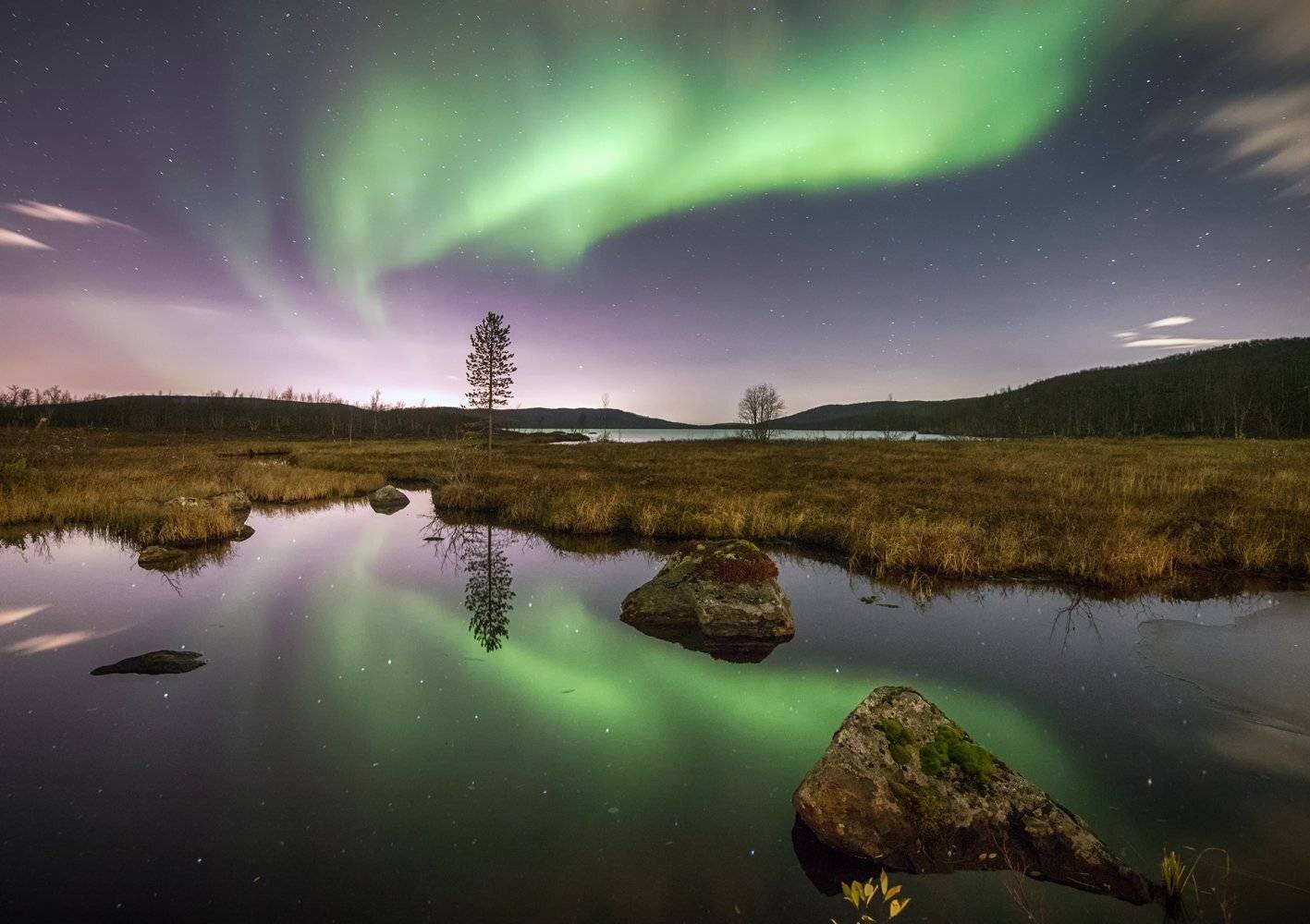 мурманская область, Daemus