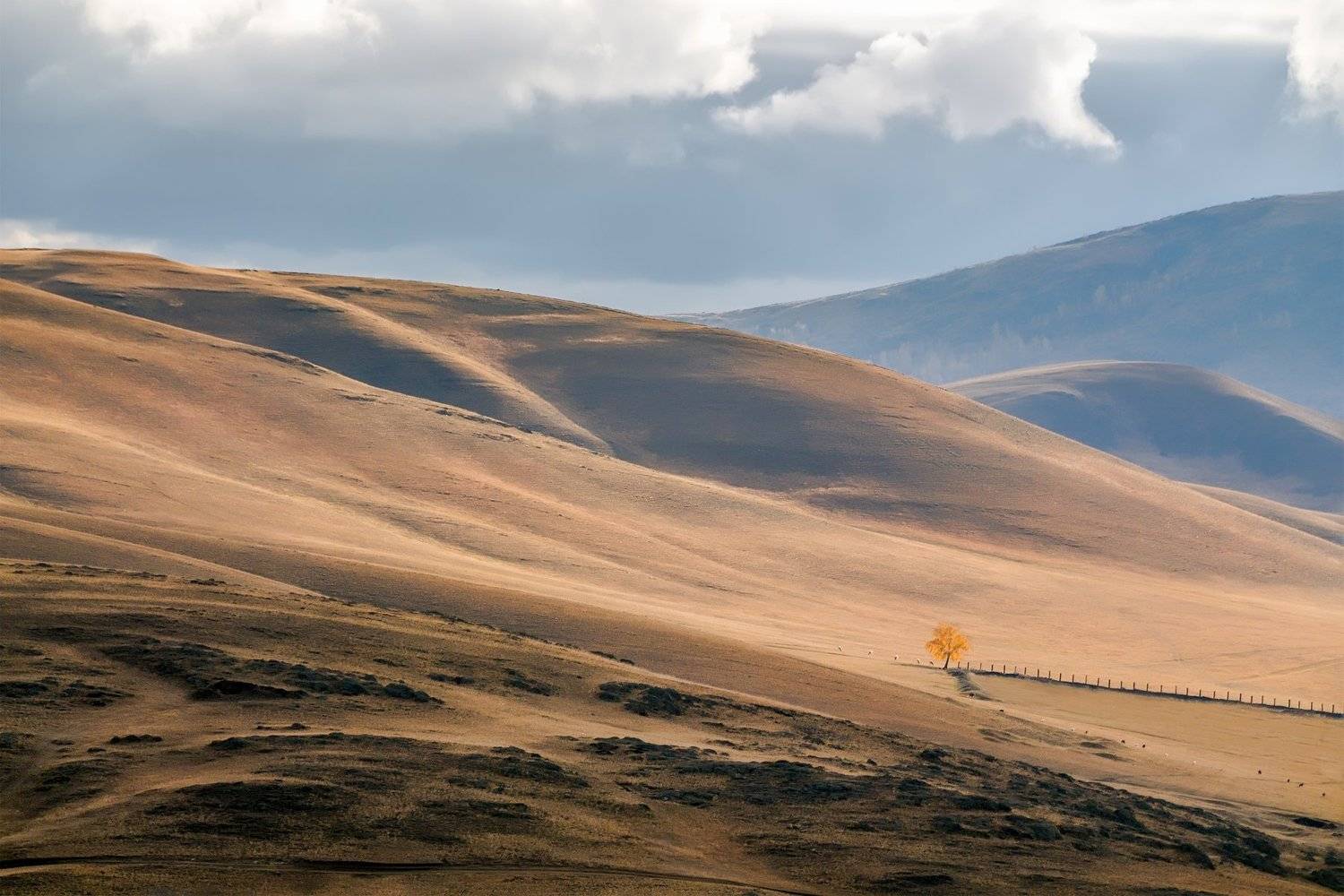 осень, урал, горы, березка, Леонид Максименко
