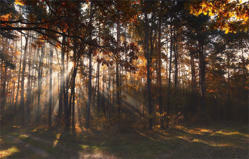 На перепутье  фото превью