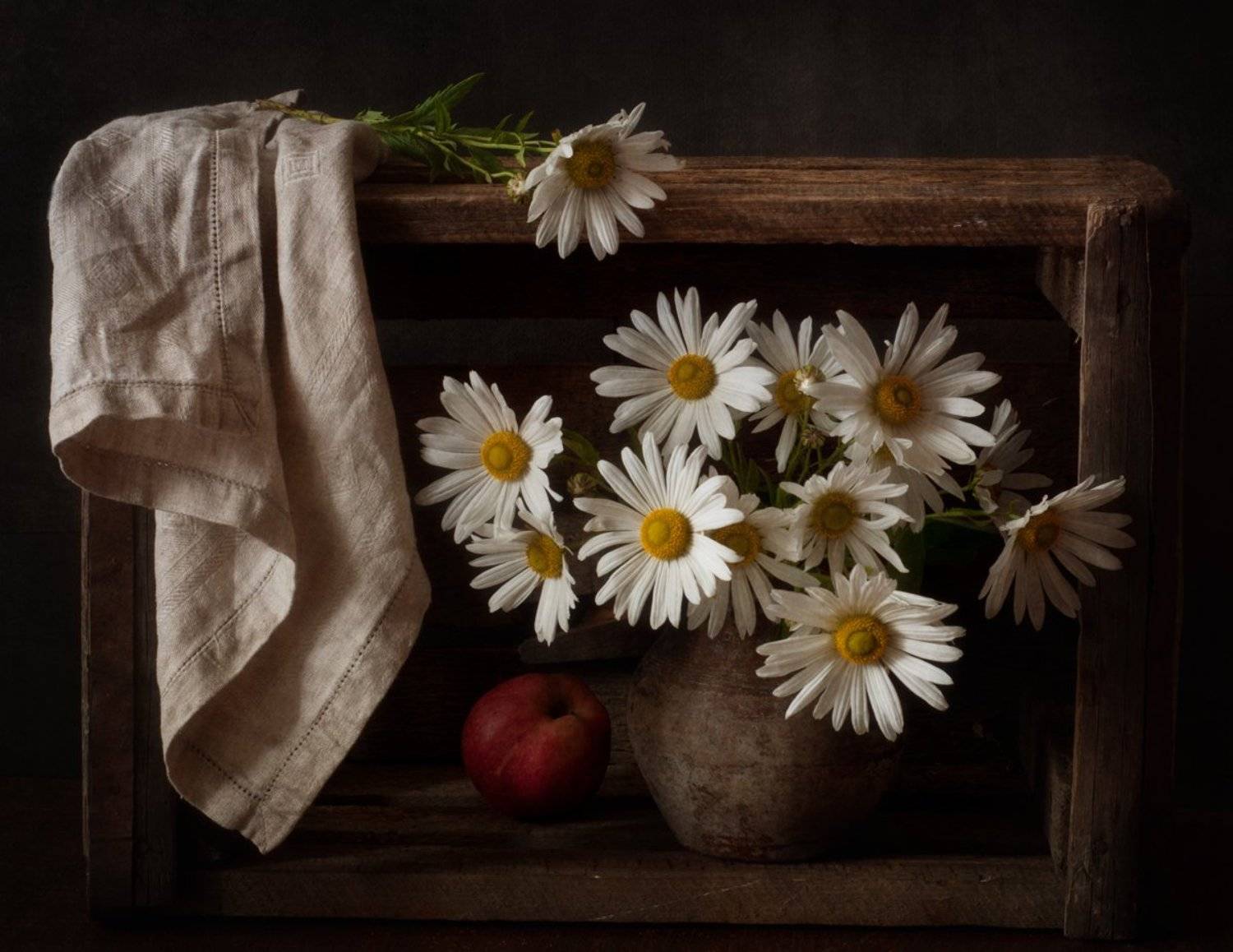 натюрморт,цветы,хризантемы,левкантемелла,осень, Наталия К