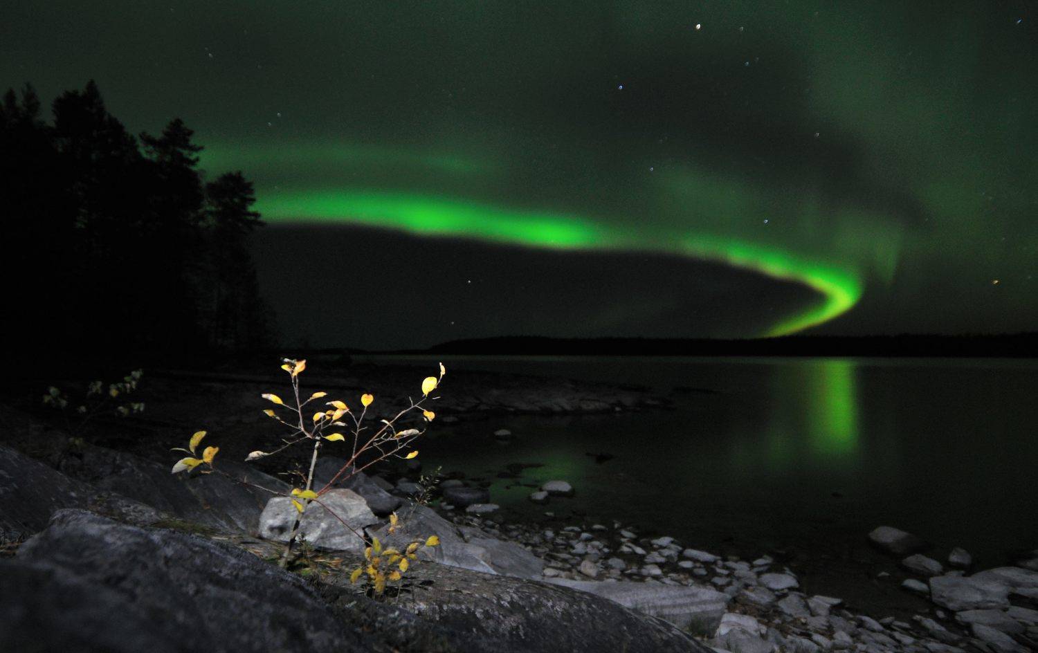 ***, Андрей Куликов