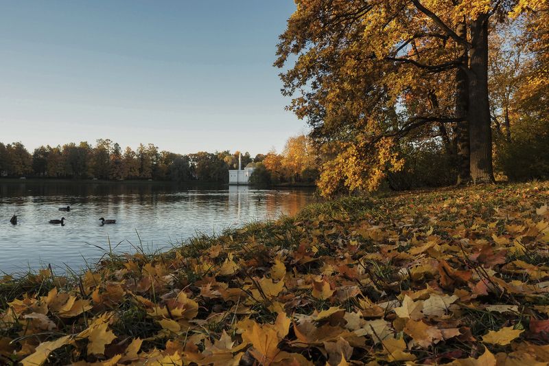 Утро в Пушкине фото превью