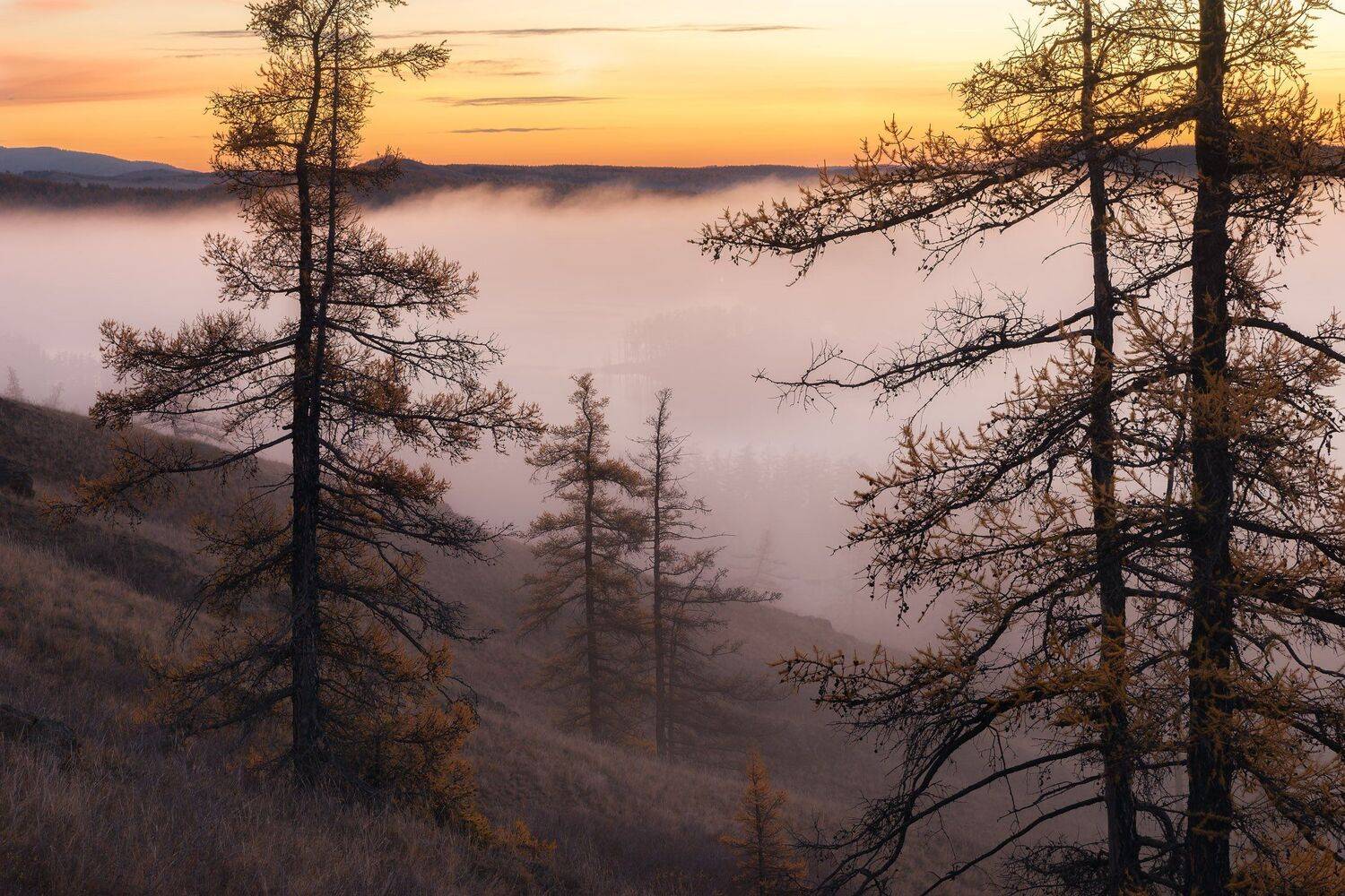 , Михаил Туркеев