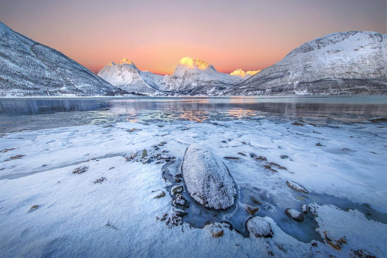 , Тодор Божков