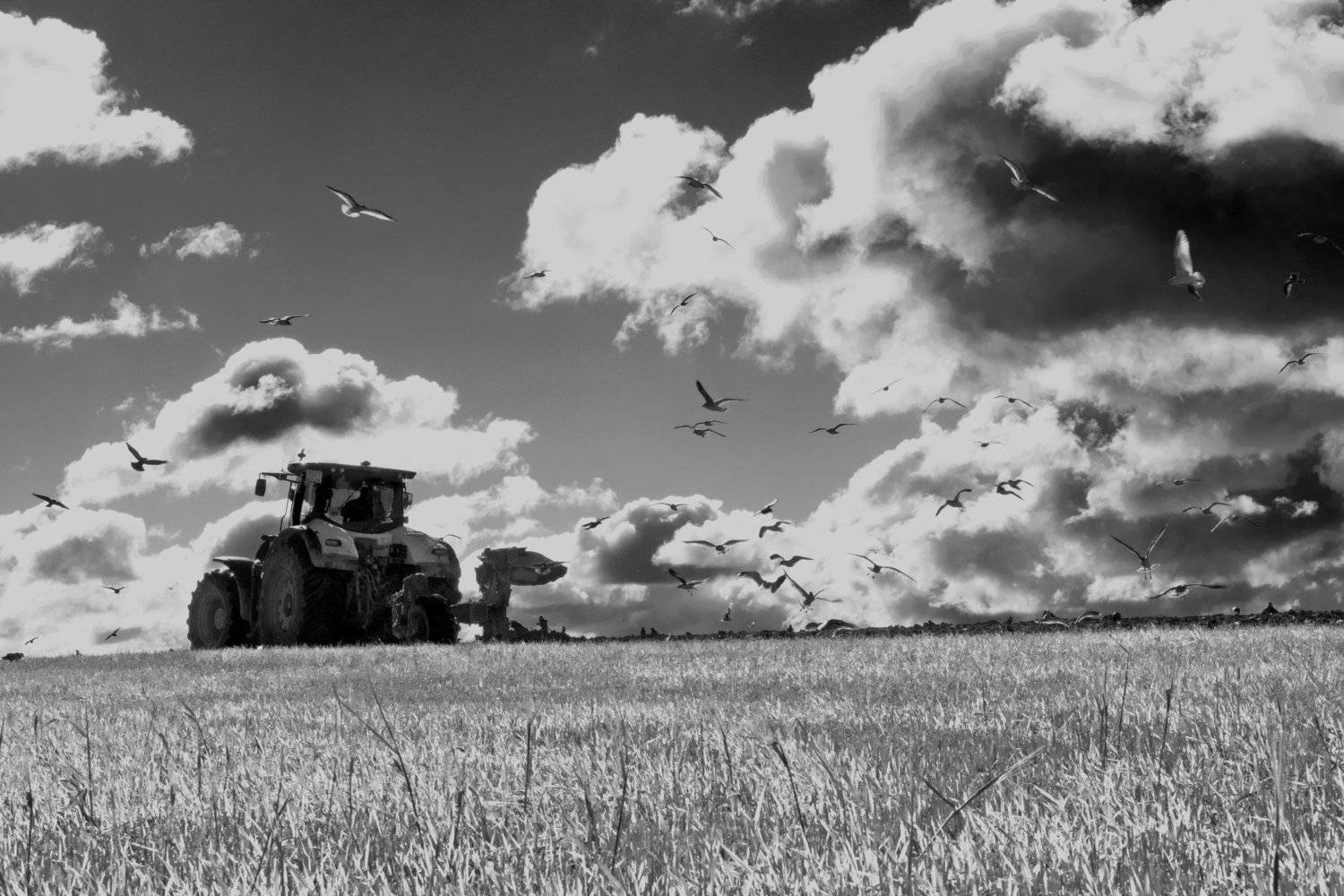 , анна шацкая