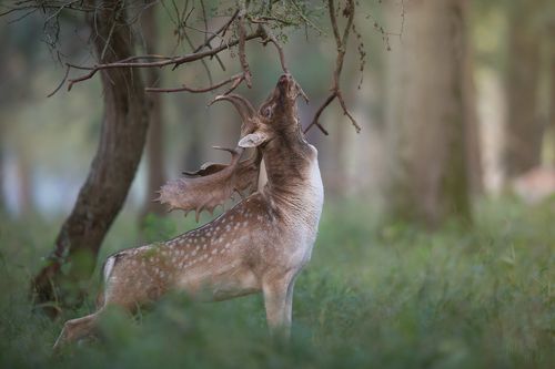 stretching