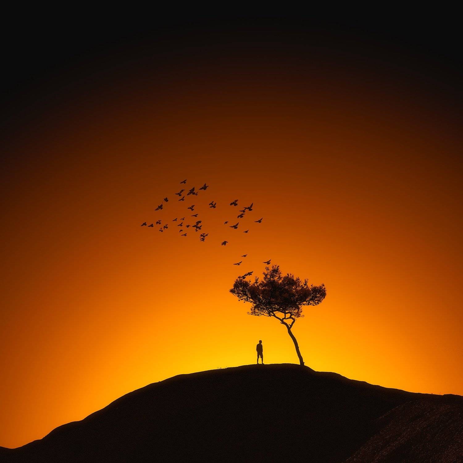 , Антон Шваин