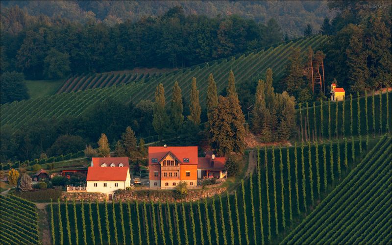 лето,свет,часовня,штирия,гамлитц,австрия,gamlitz- sernau,landscape,панорама. Летний этюд фото превью