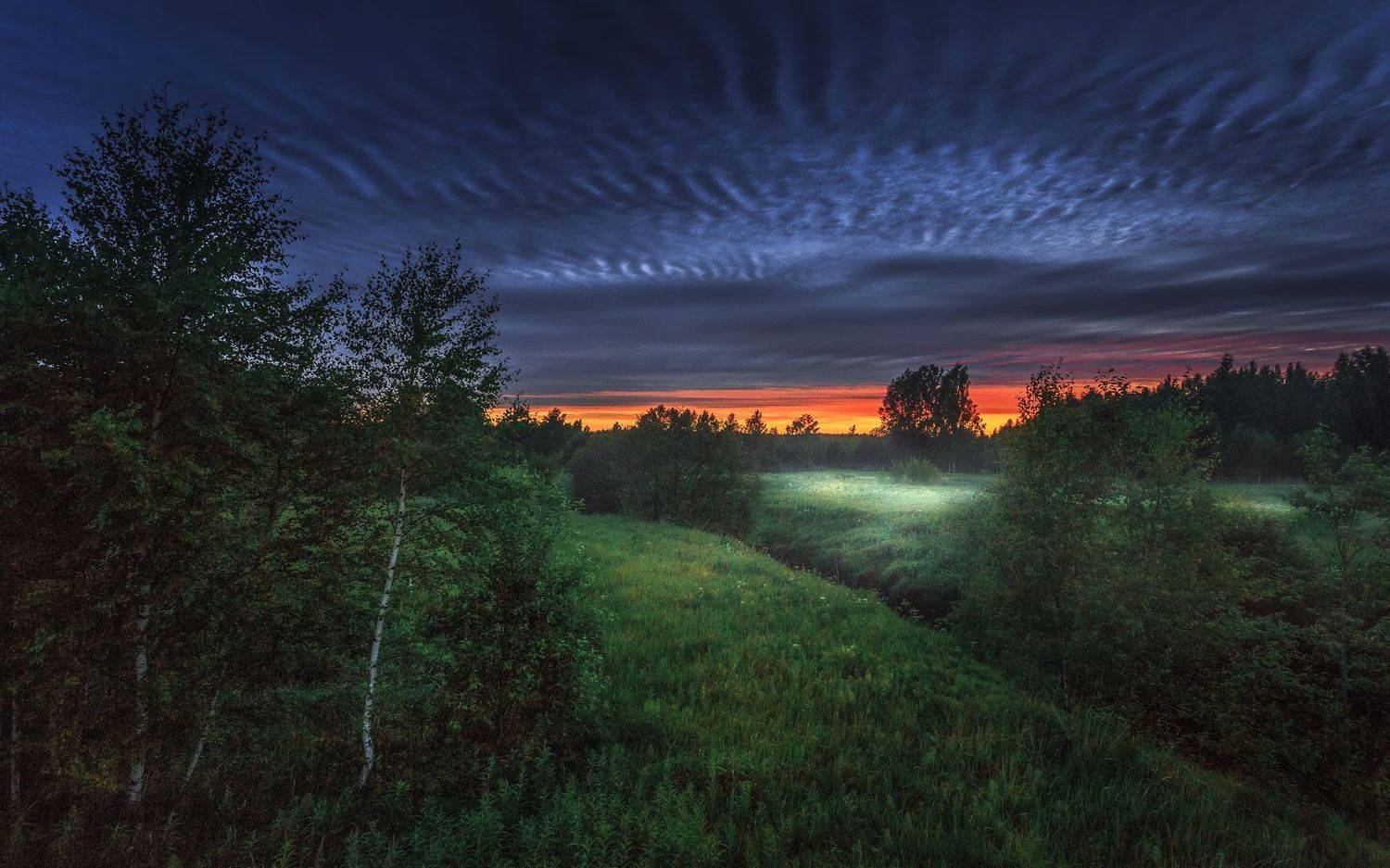 , Евгений Луцко