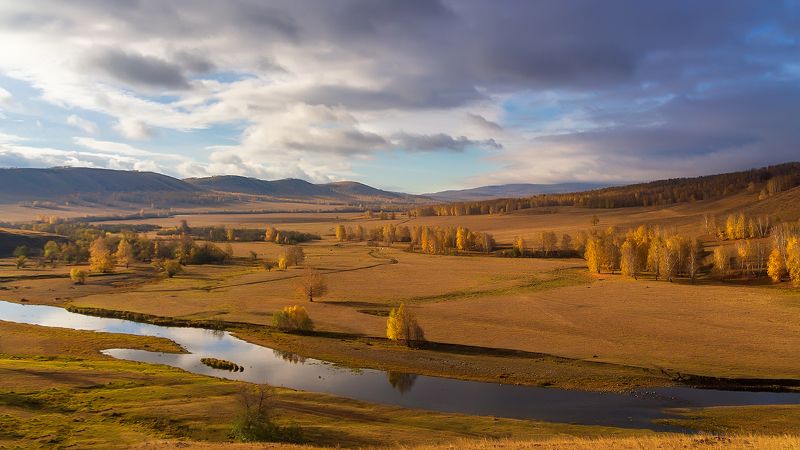Золотая долина фото превью