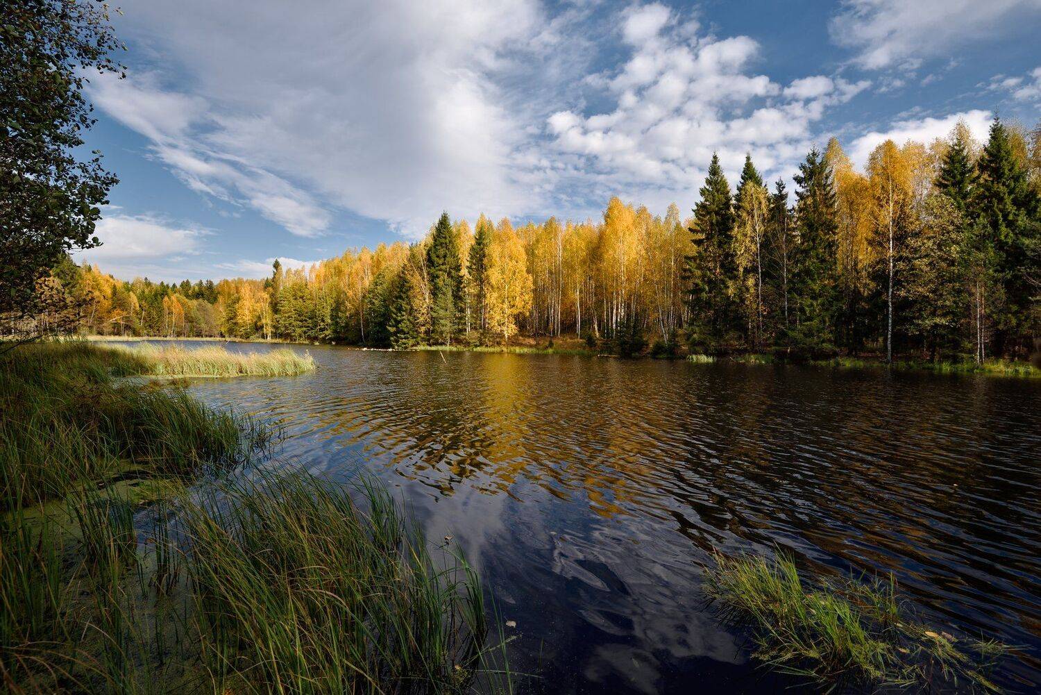 , Виталий Полуэктов