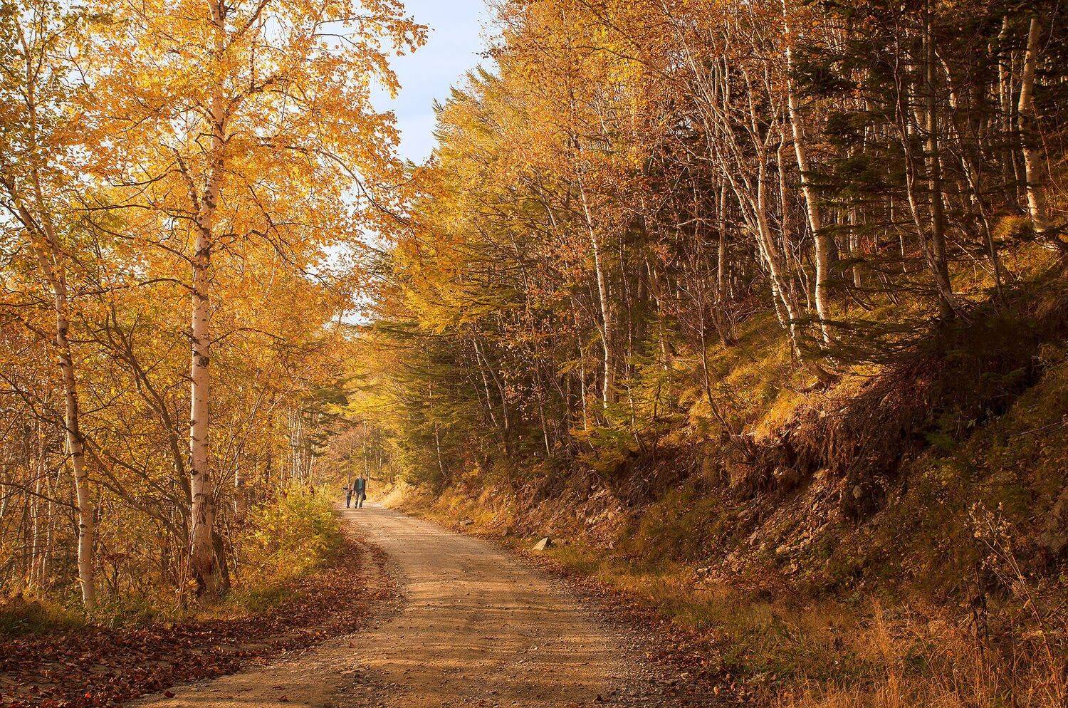 , Артем Удодов