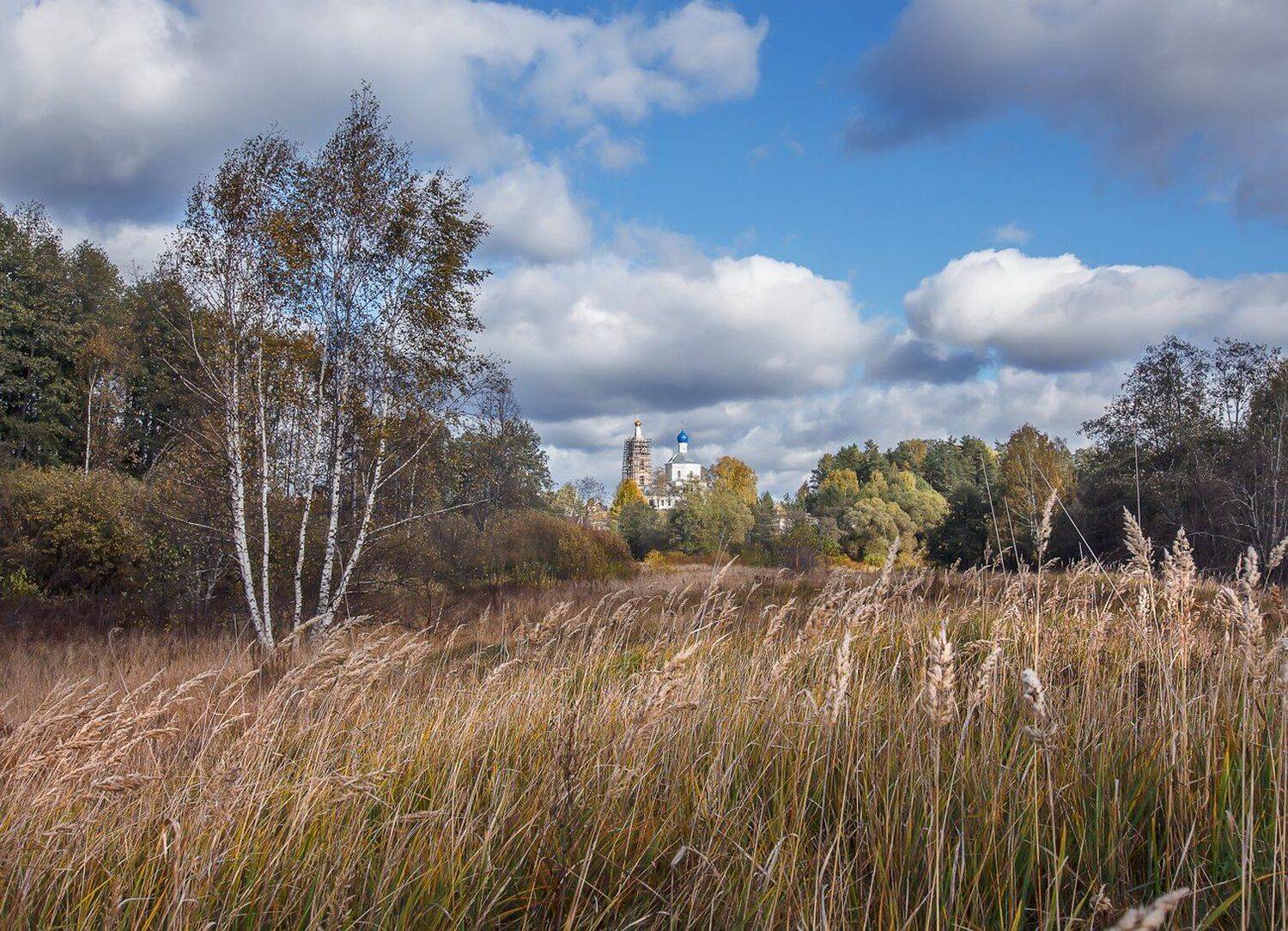 , Николай Андреев