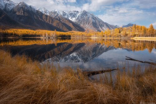 На осеннем берегу