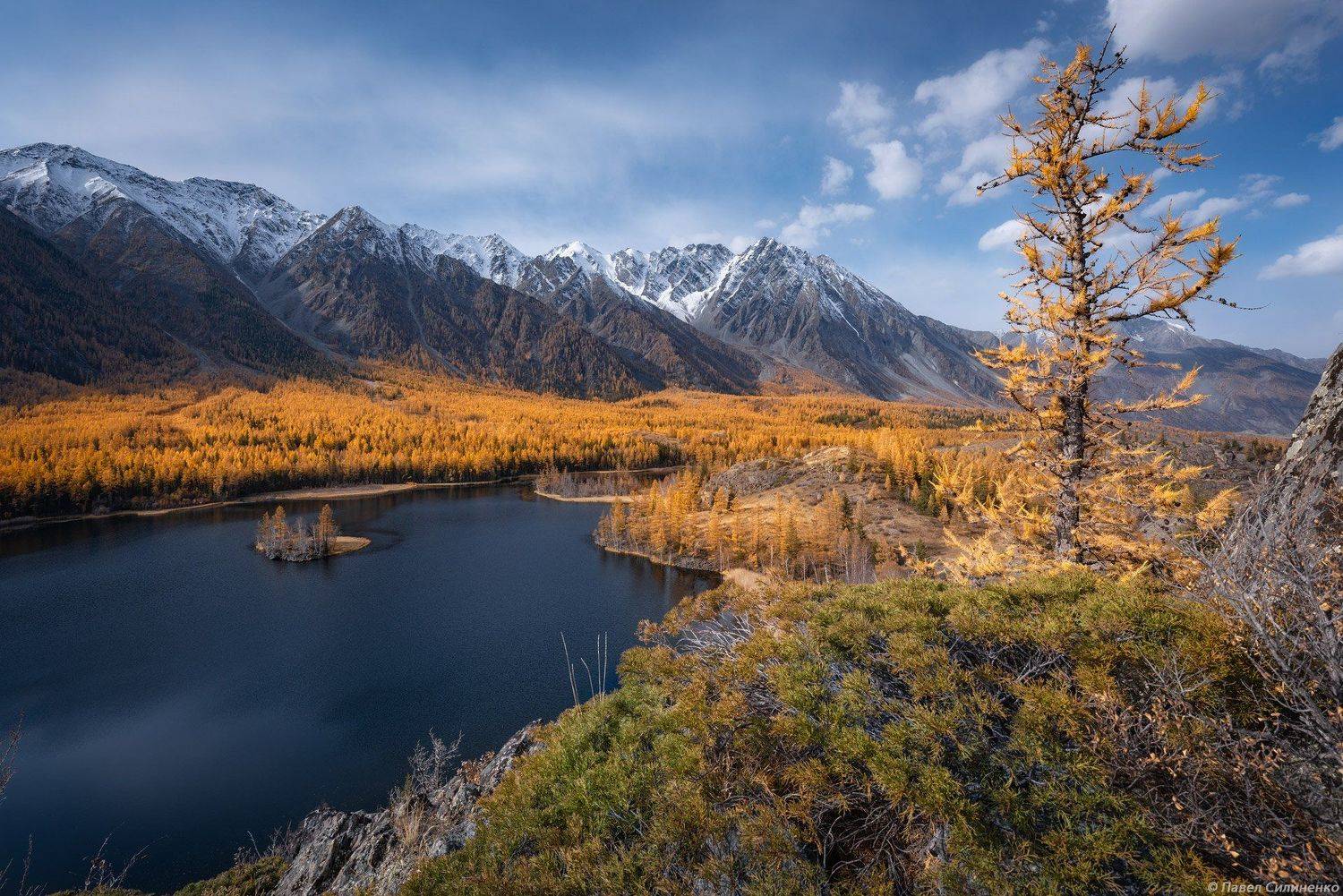 пейзаж, осень, лес, свет, горы, желтый, алтай, озеро, Павел Силиненко