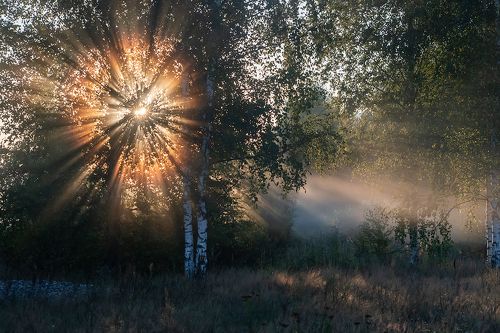 Лучистый триптих )))