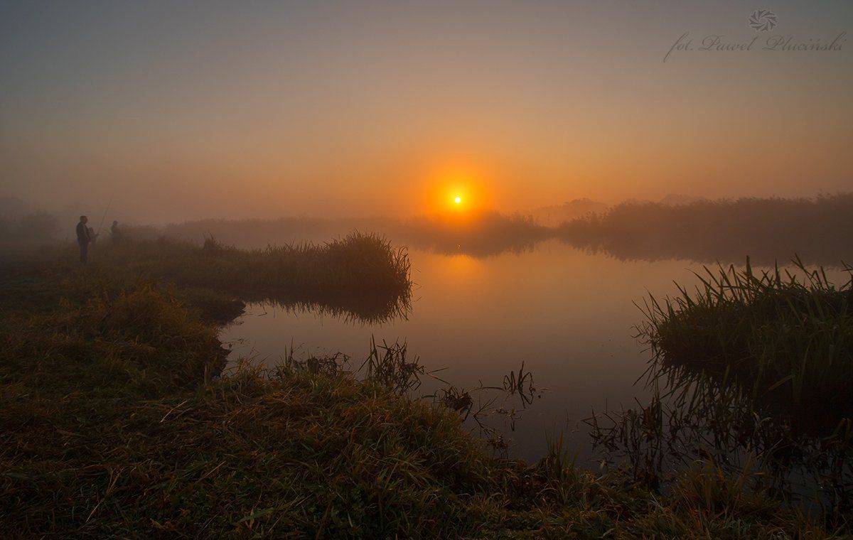 , Pawel Plucinski