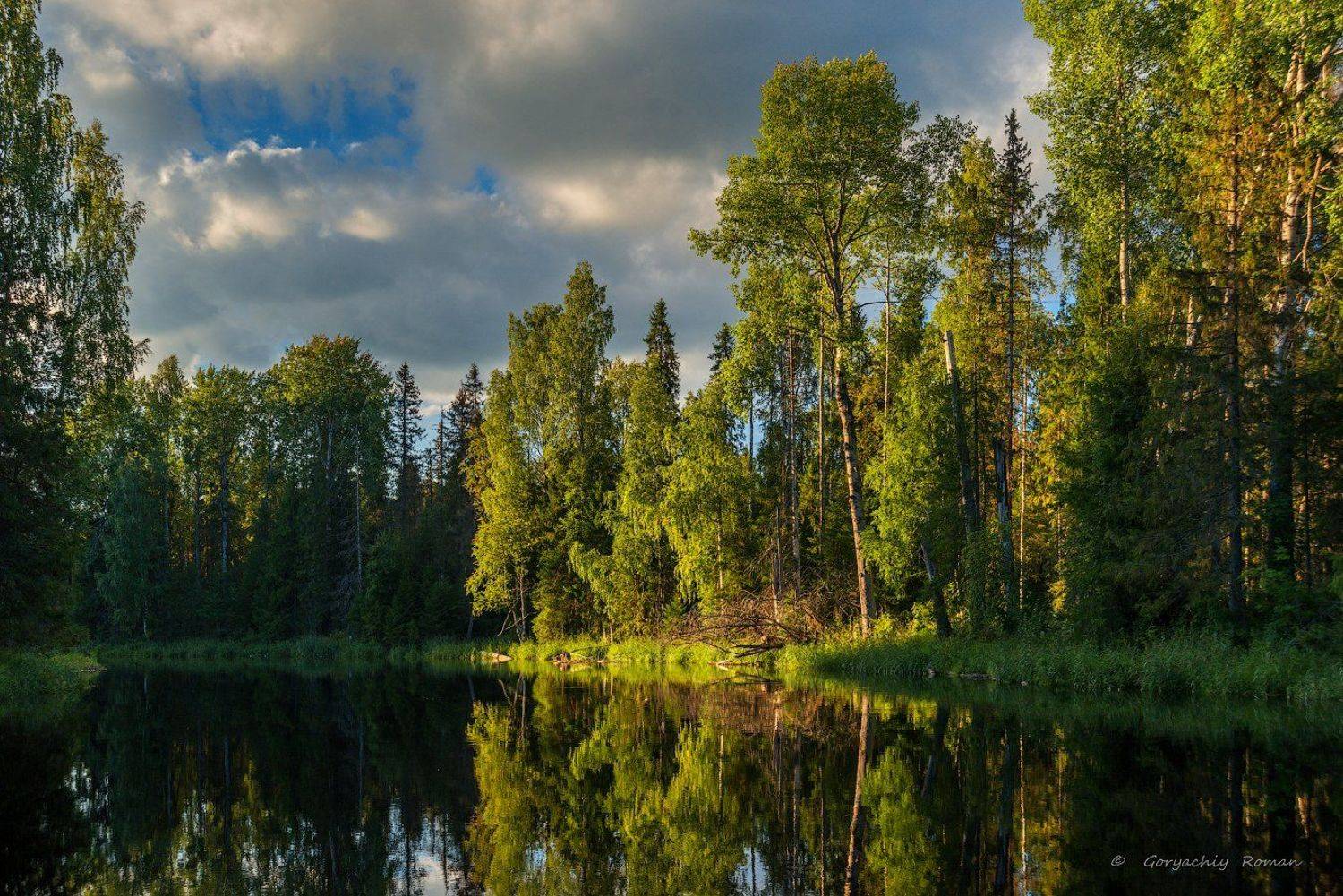 великий двор,вологодчина,кема,север,лето,, Роман Горячий