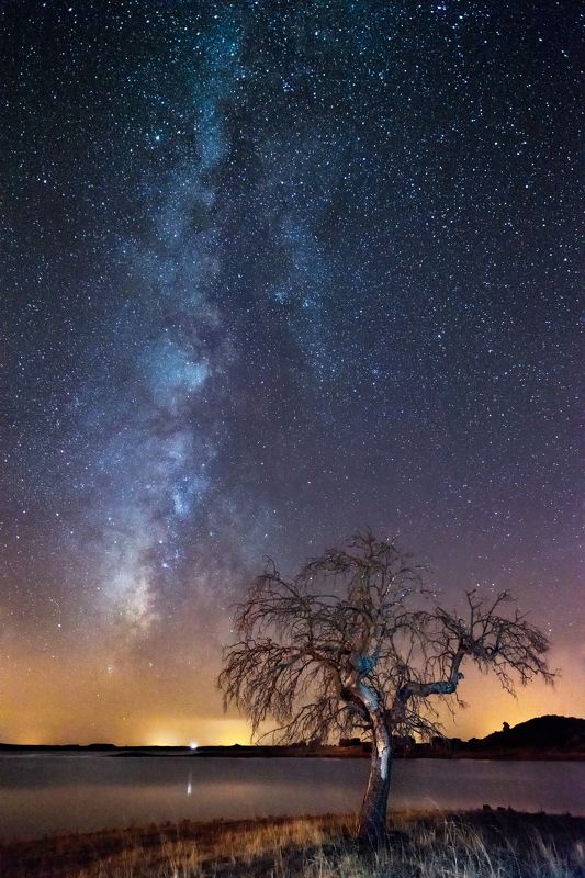 milky way,night,long exposure,lake,Portugal,photo hunter alone tree фото превью