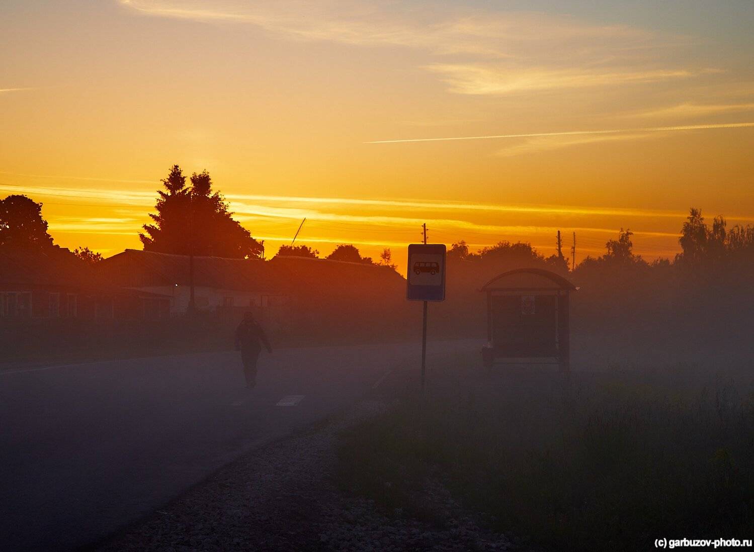 , Гарбузов Илья