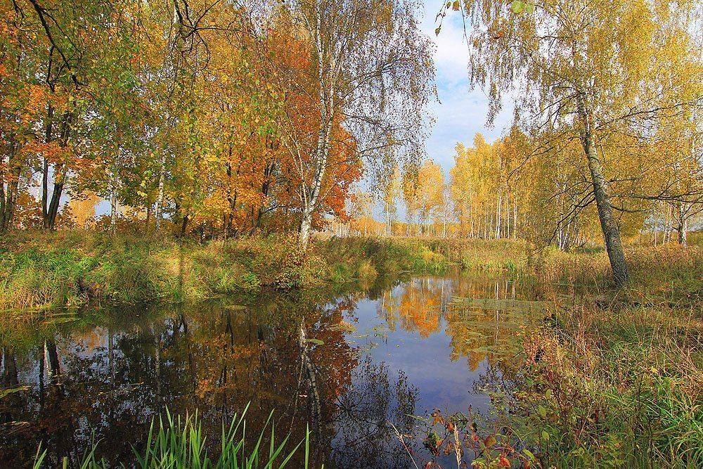 , Михаил Крюков