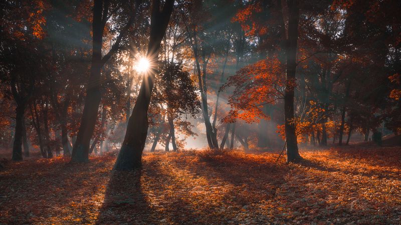 Autumn фото превью