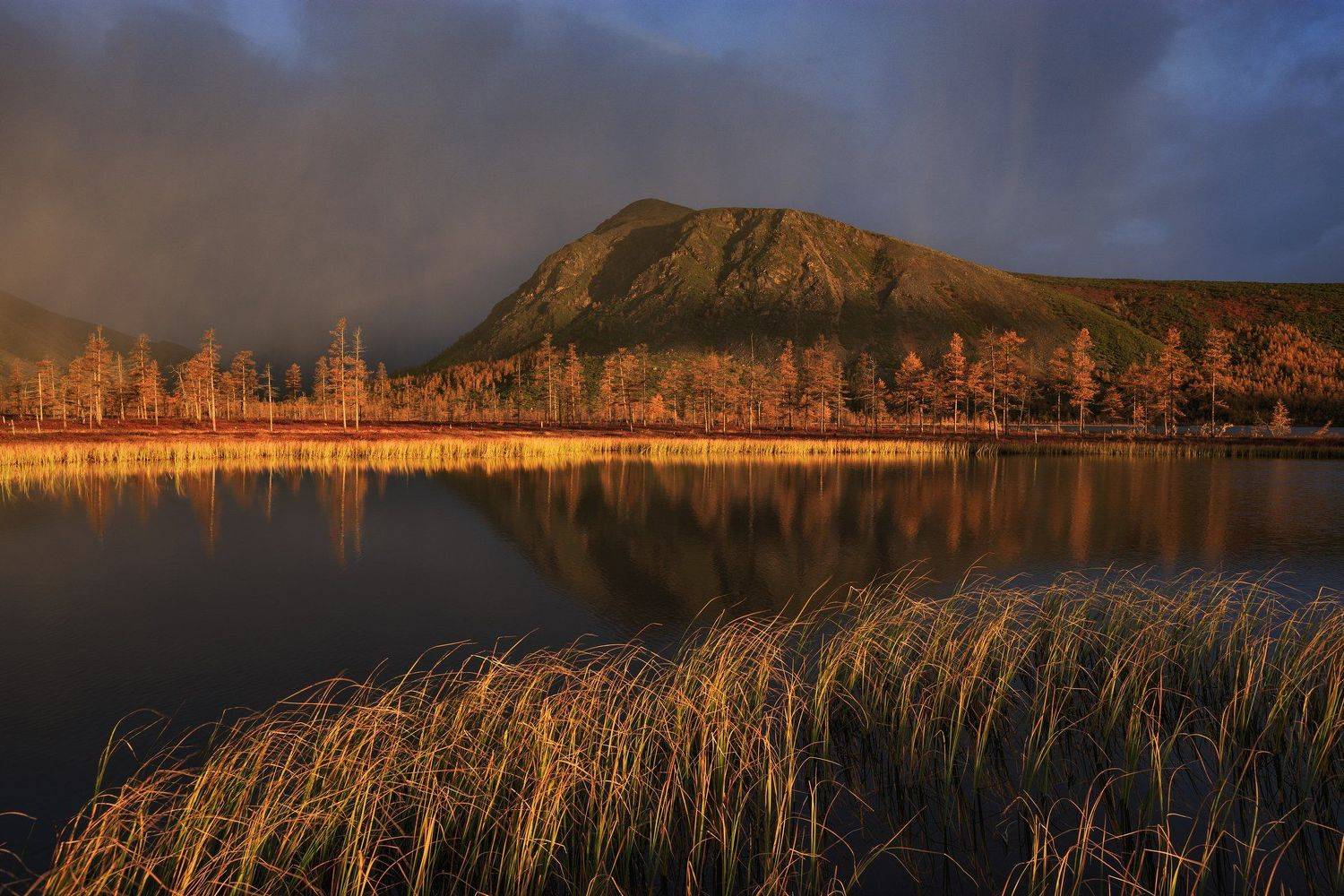 , Денис Лукьяненко