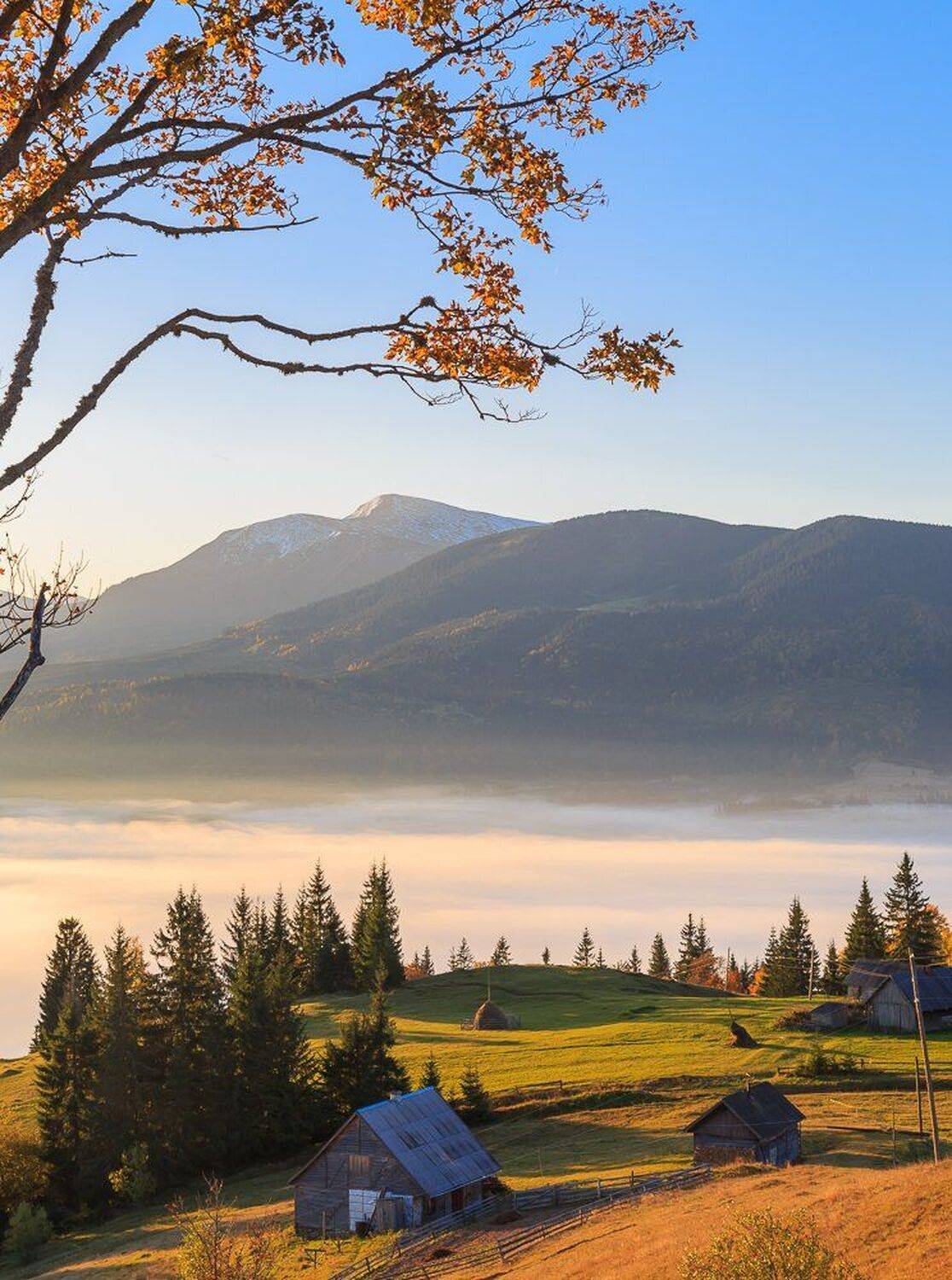 , Александр Подрез