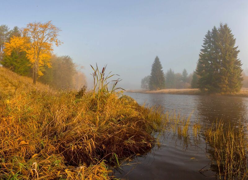 октябрь на лесной реке