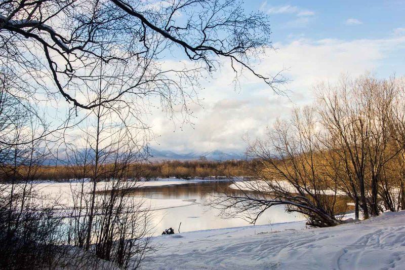 Камчатка, Козыревск, озеро, деревья, зима Камчатка. Козыревск. фото превью