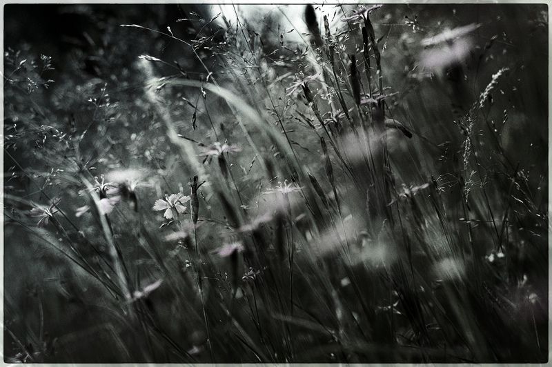 ... фото превью