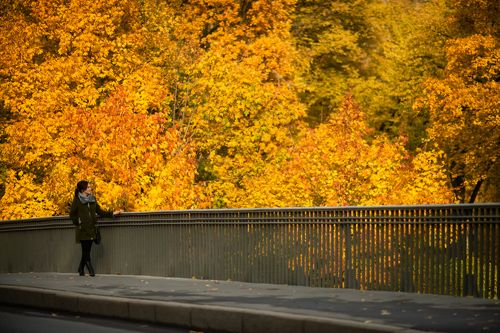 Осень в Петербурге