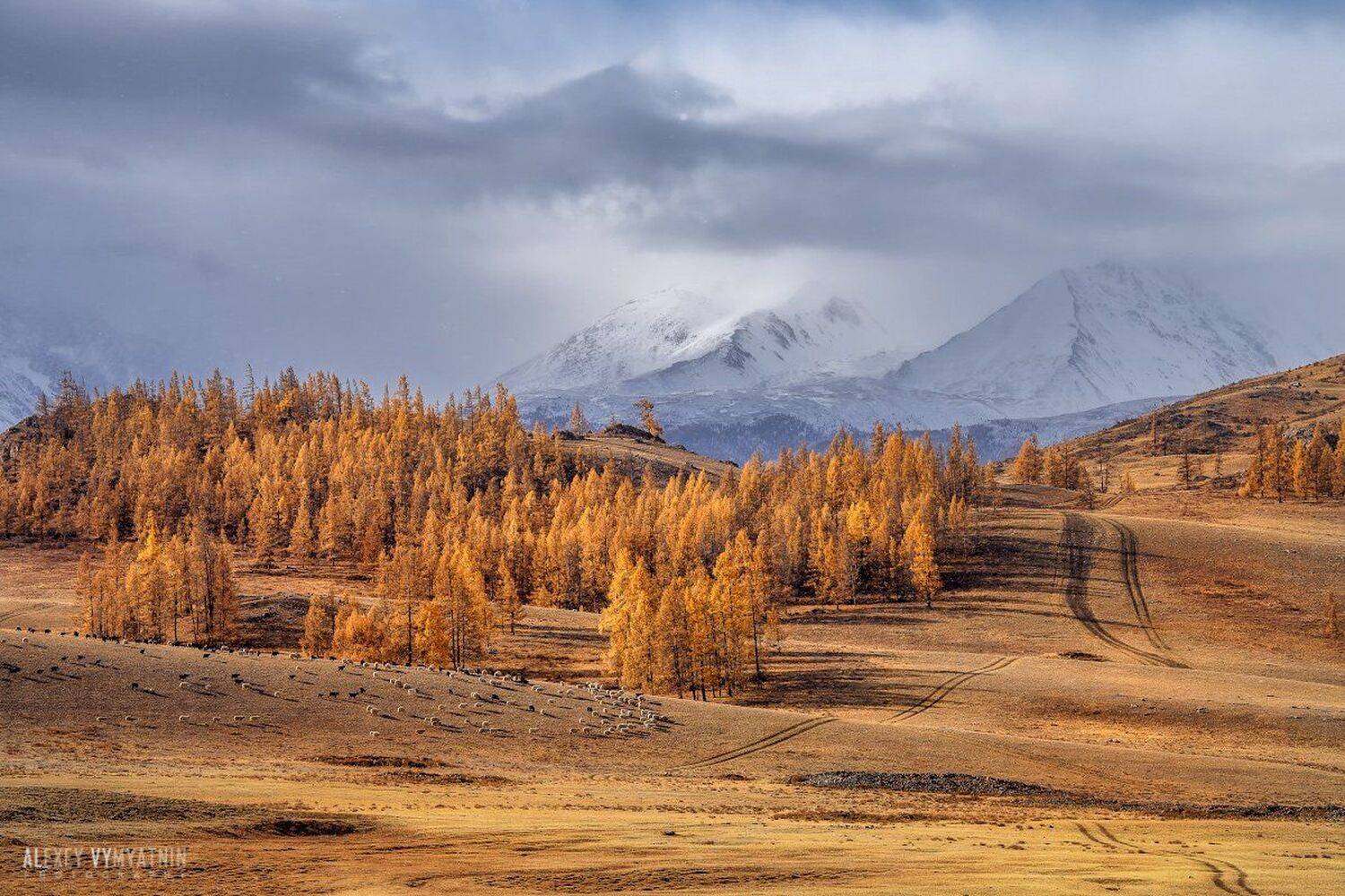 , Алексей Вымятнин
