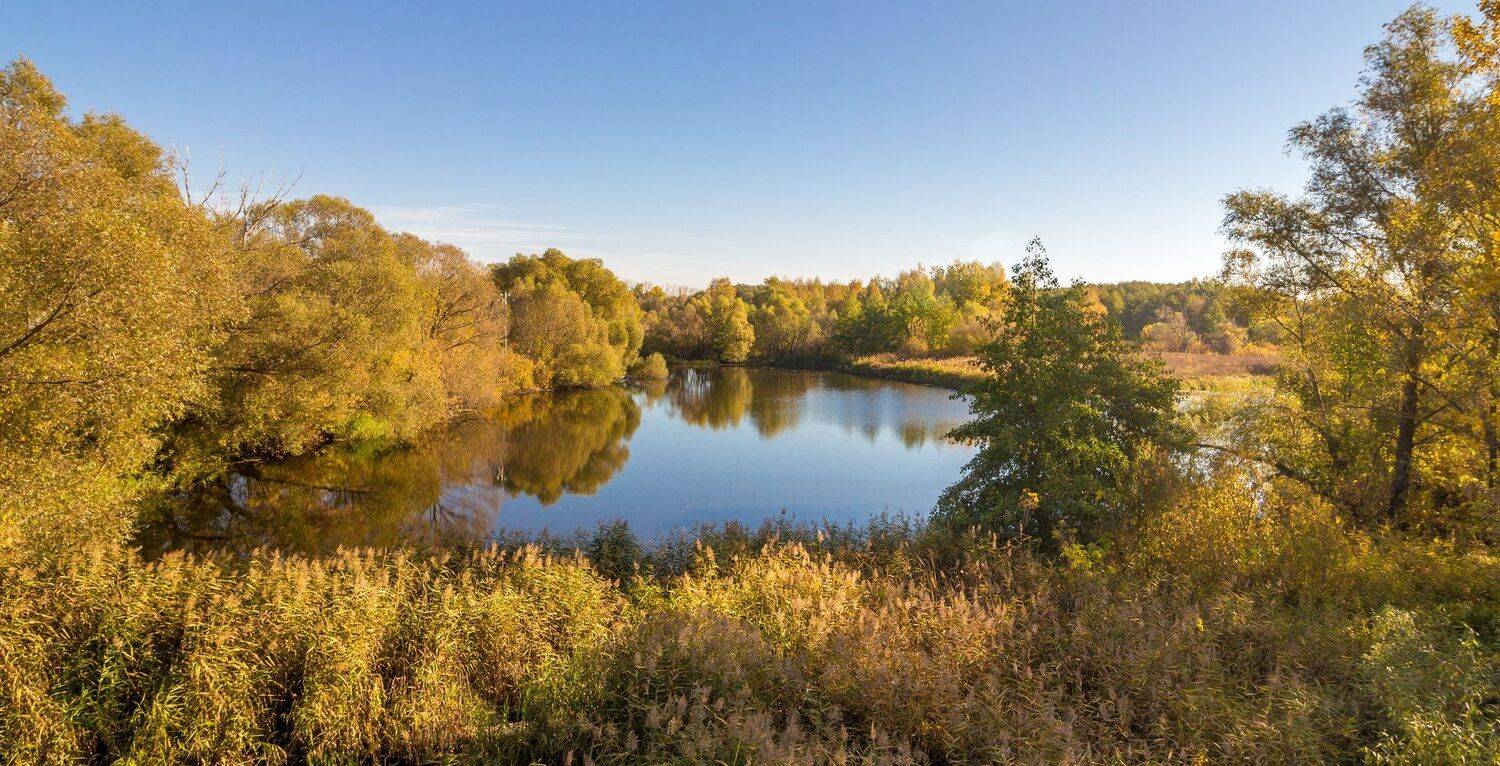 усмань, река, озеро, осень, Руслан Востриков