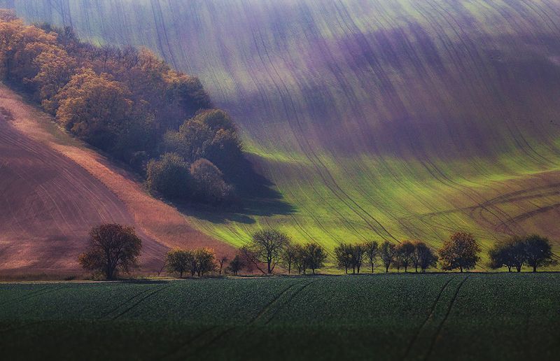 Moravia фото превью