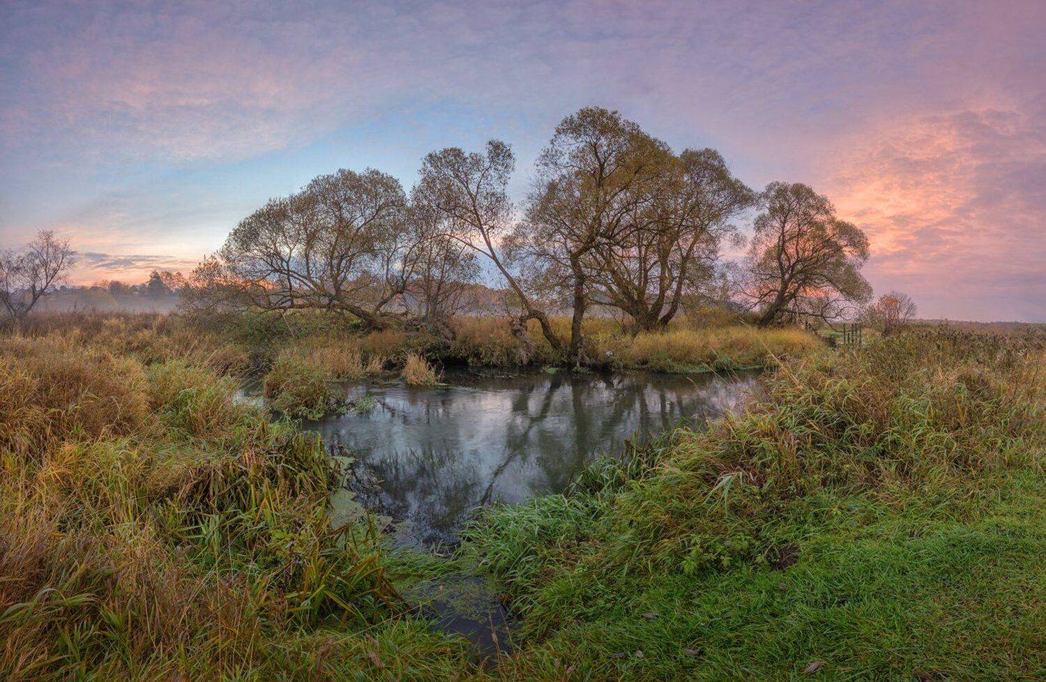 , Николай Андреев